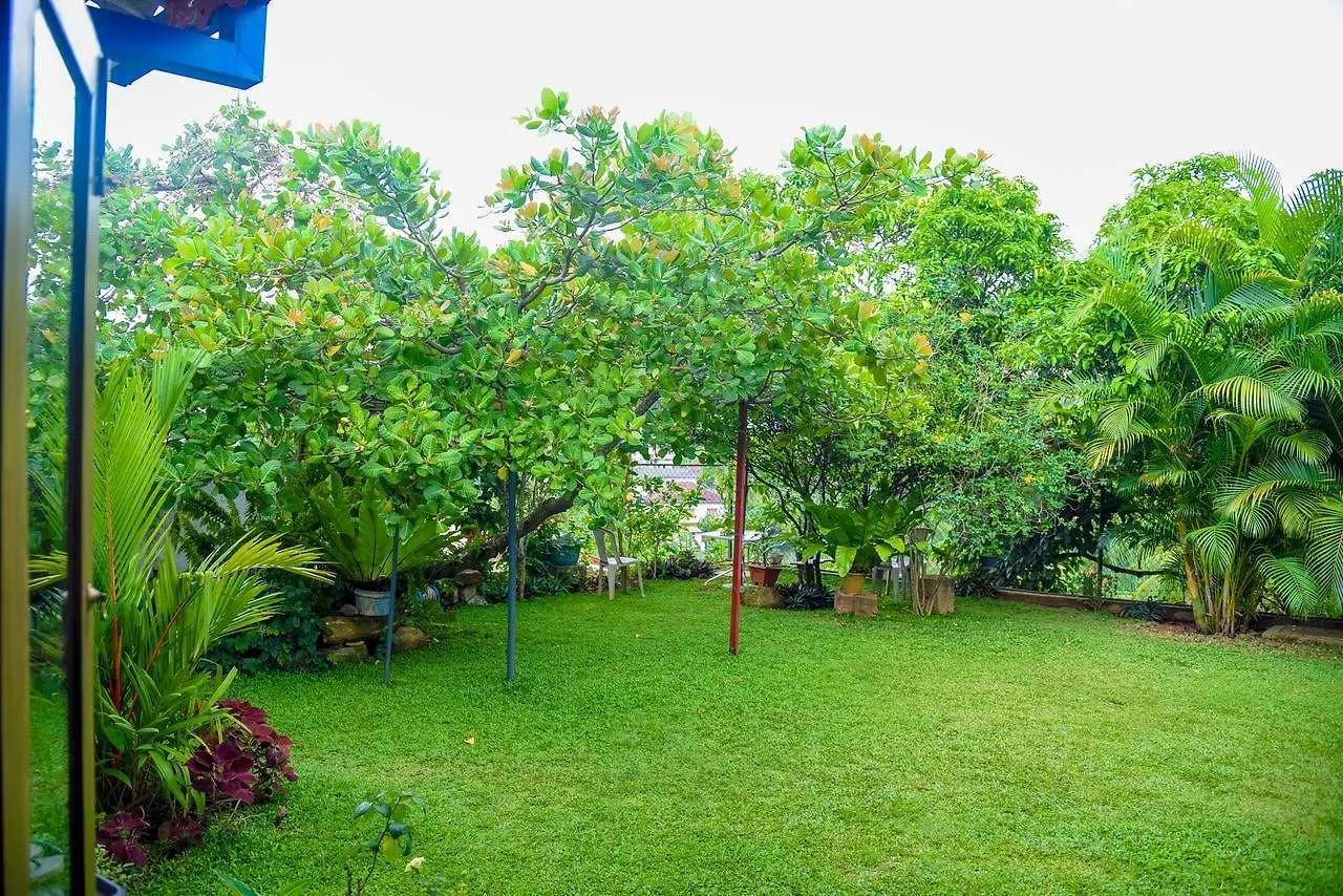 Vendégház Kandy Moon Hills Hotel